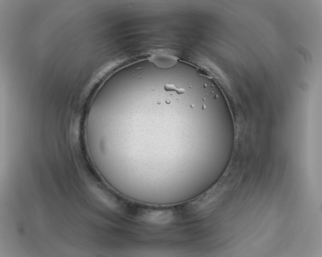 X0000114140155200910221532