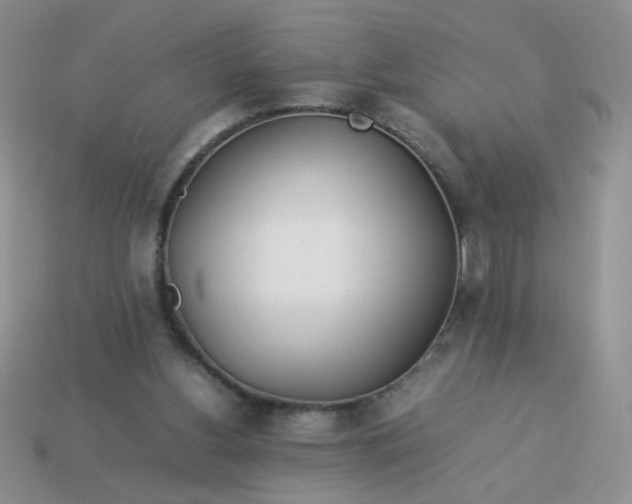 X0000114140156200910221532