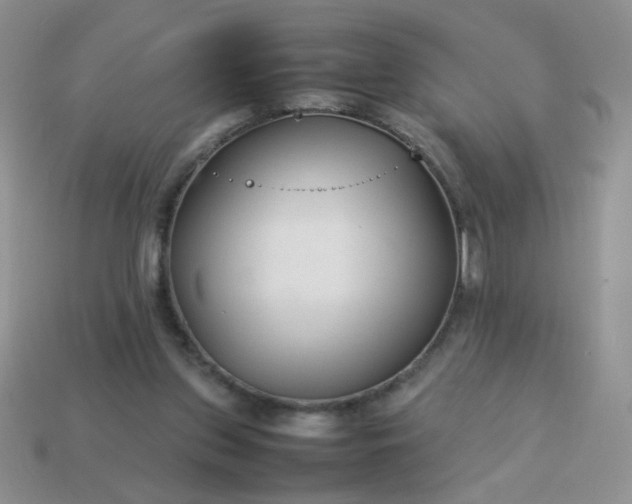 X0000114140157200910221532