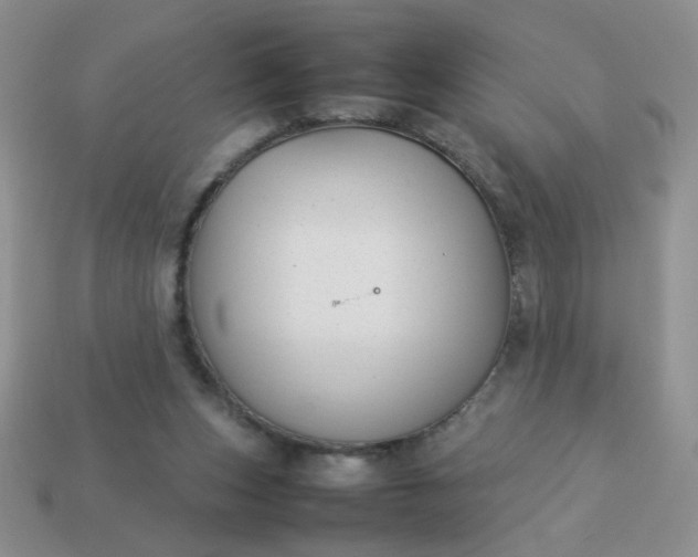 X0000114140159200910221533