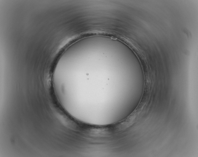 X0000114140160200910221533