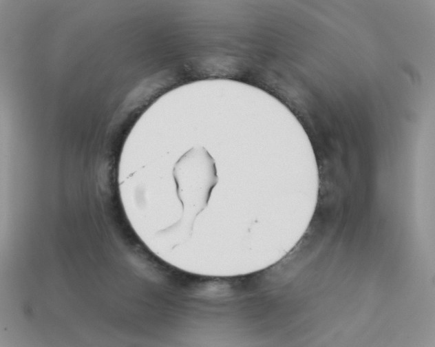 X0000114140162200910221533