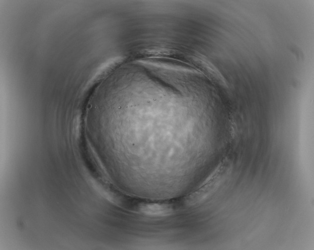 X0000114140163200910221533