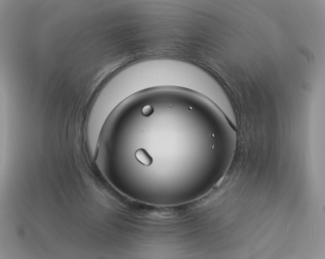 X0000114140164200910221533