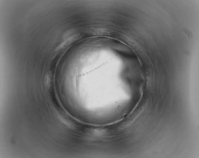 X0000114140165200910221533