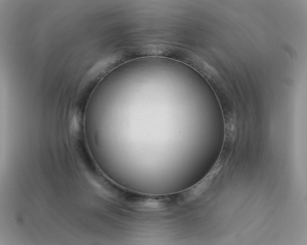 X0000114140166200910221533