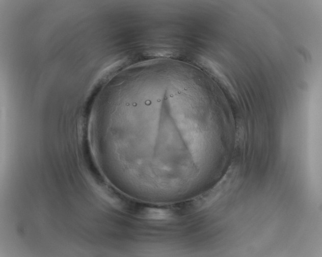 X0000114140167200910221533