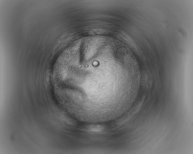 X0000114140169200910221533