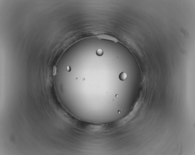 X0000114140170200910221533