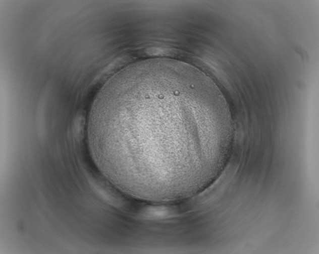 X0000114140171200910221533