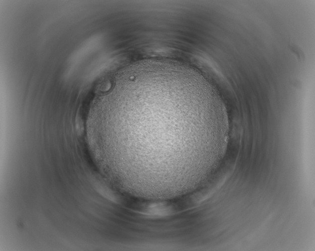 X0000114140173200910221533