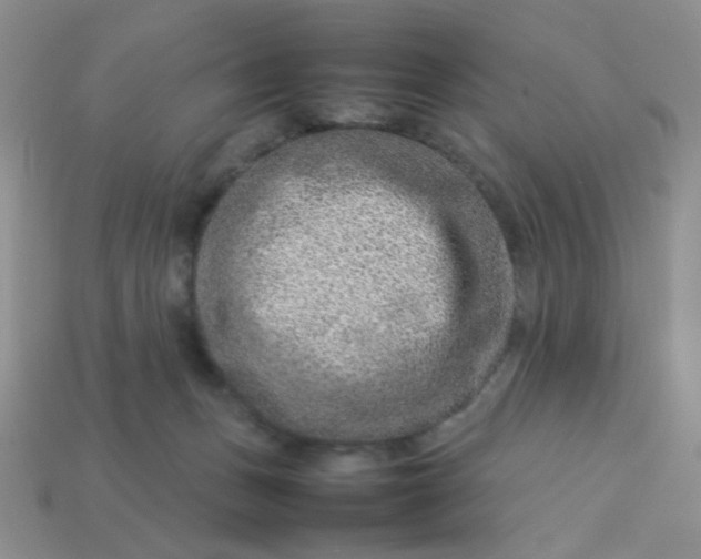 X0000114140175200910221533