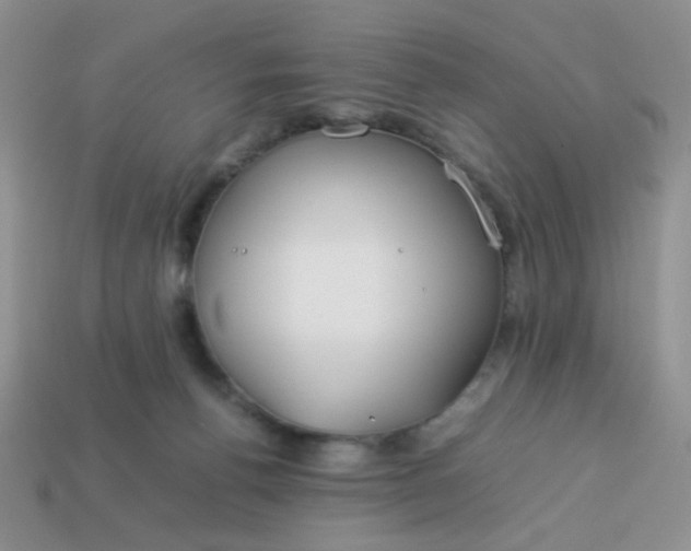 X0000114140176200910221533