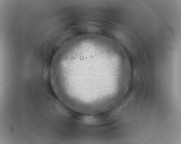 X0000114140177200910221533