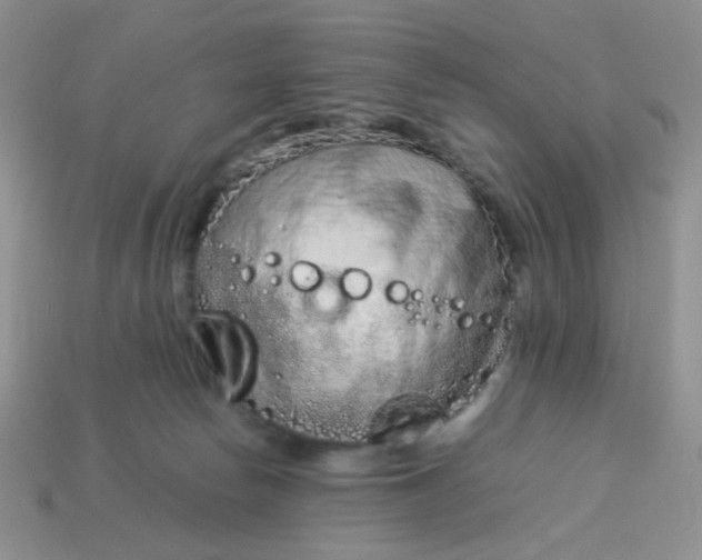 X0000114140178200910221533