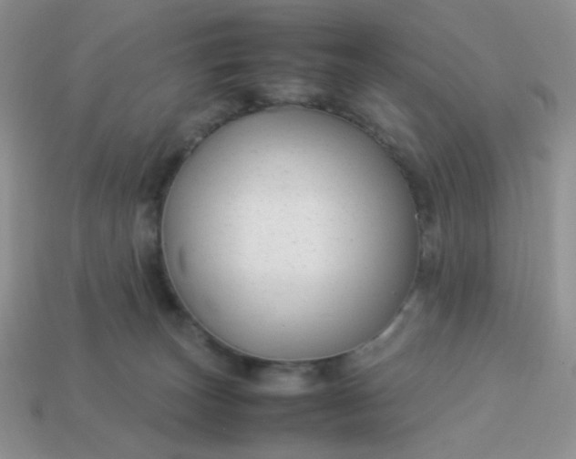 X0000114140179200910221533