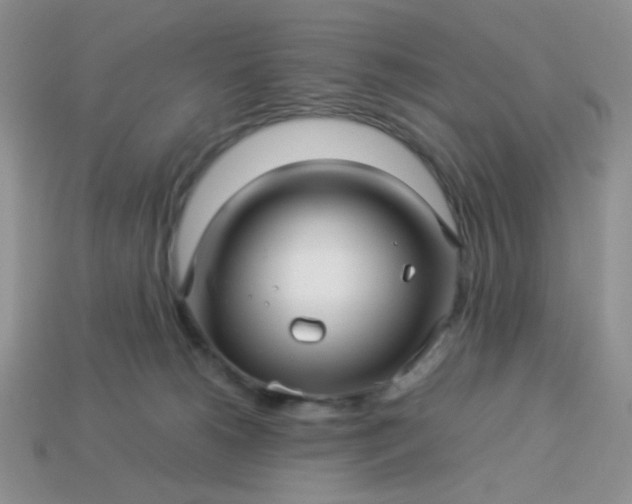 X0000114140180200910221533