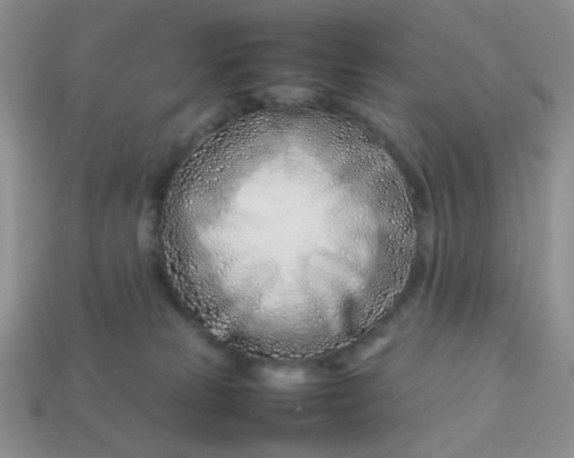 X0000114140181200910221533