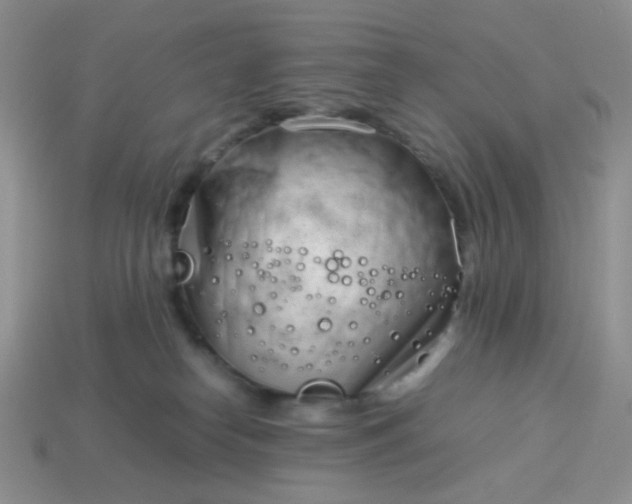 X0000114140182200910221533