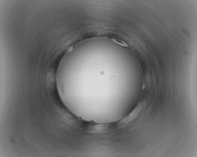 X0000114140184200910221533