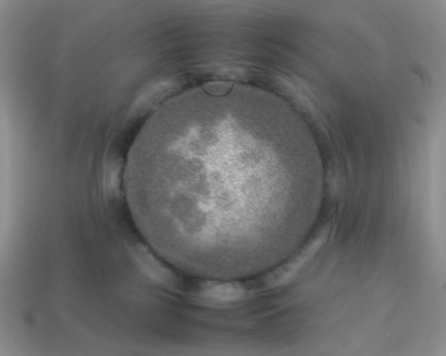 X0000114140185200910221533