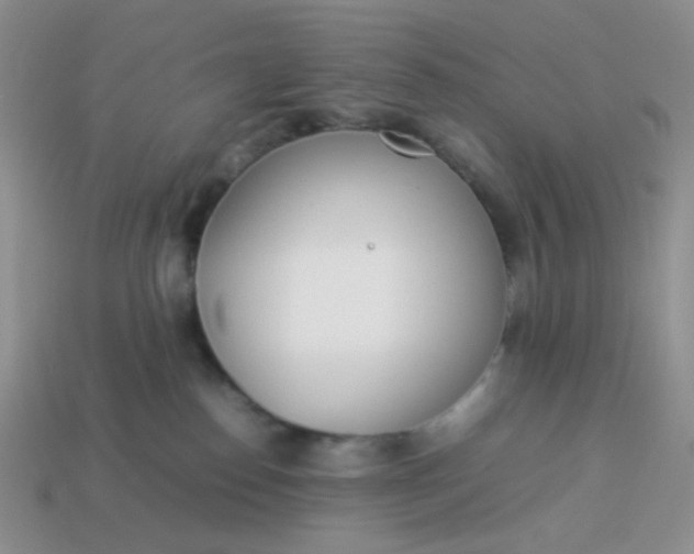 X0000114140186200910221533