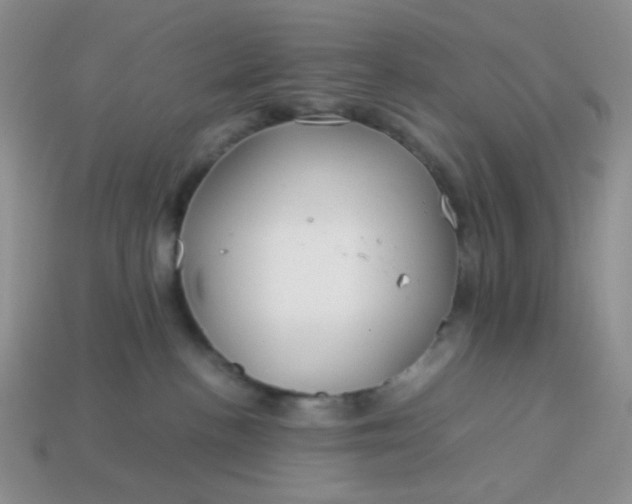 X0000114140188200910221533