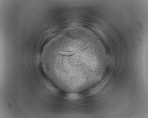 X0000114140189200910221533