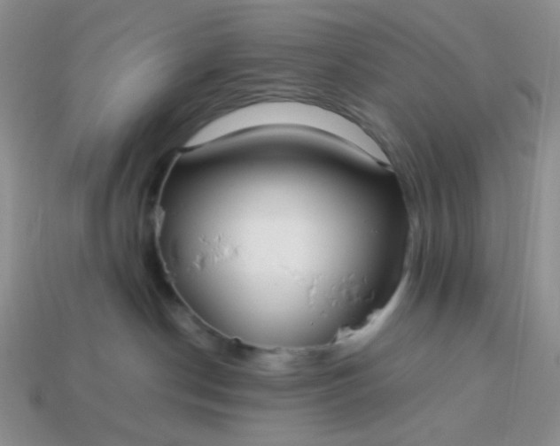 X0000114140190200910221533