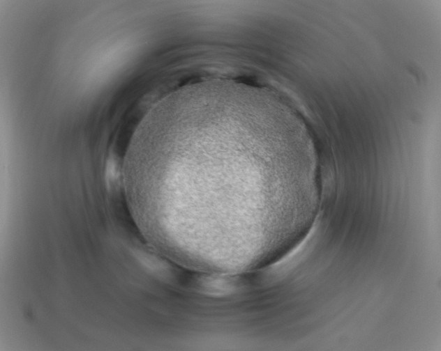 X0000114140191200910221533