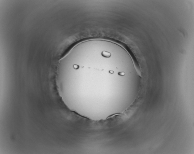 X0000114140192200910221533