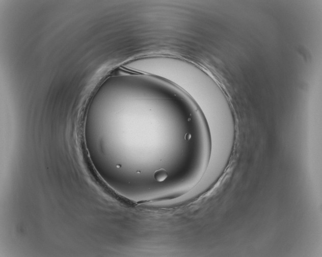 X0000114140193200910221532