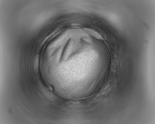 X0000114140194200910221532