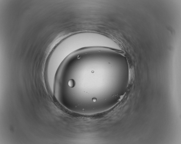 X0000114140195200910221532