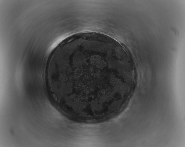 X0000114140196200910221532