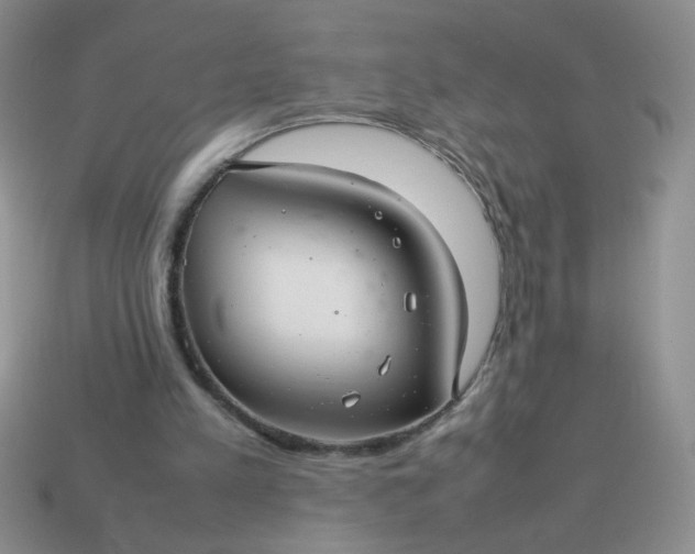 X0000114140197200910221532