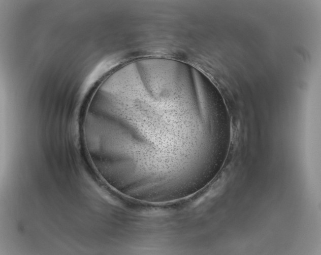 X0000114140198200910221532