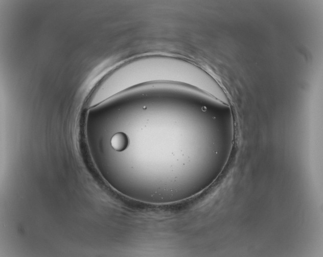 X0000114140199200910221532