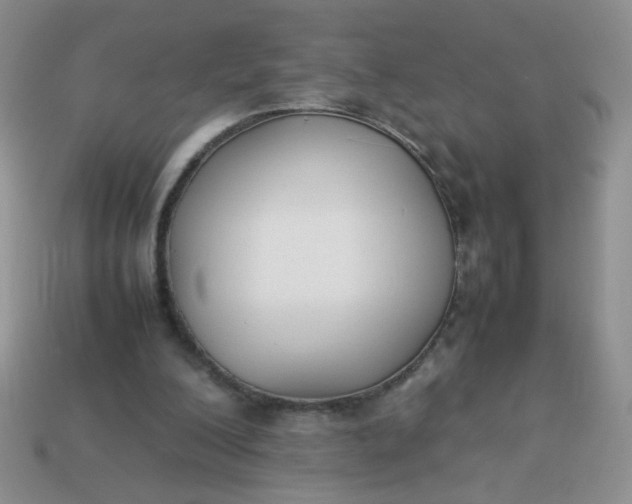 X0000114140200200910221532