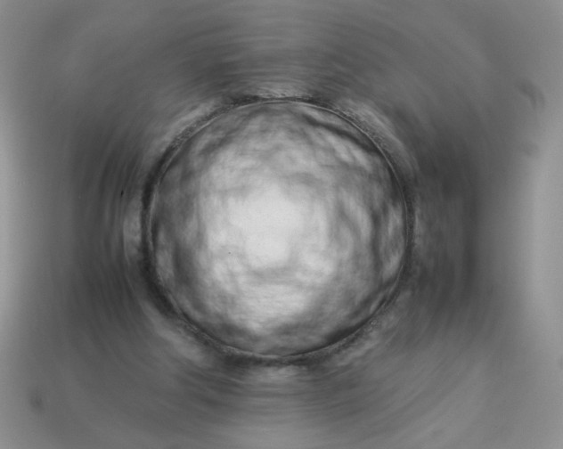 X0000114140202200910221532