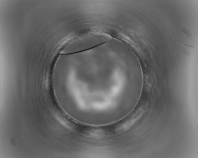 X0000114140203200910221532