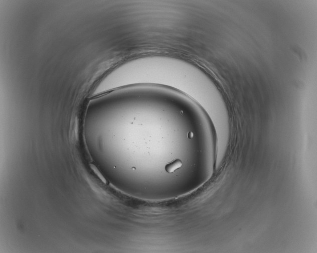 X0000114140205200910221532