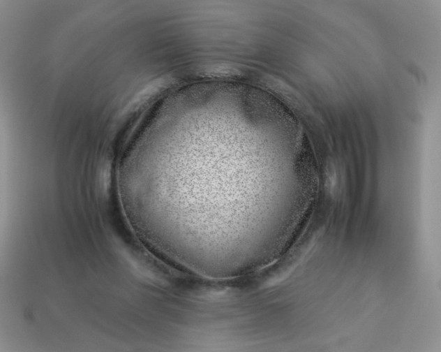 X0000114140206200910221532