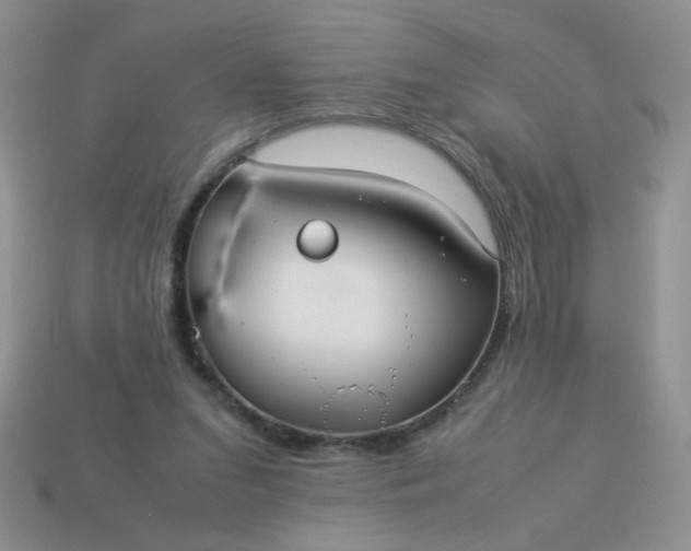 X0000114140207200910221532