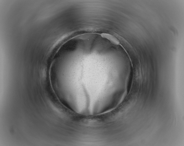 X0000114140208200910221532