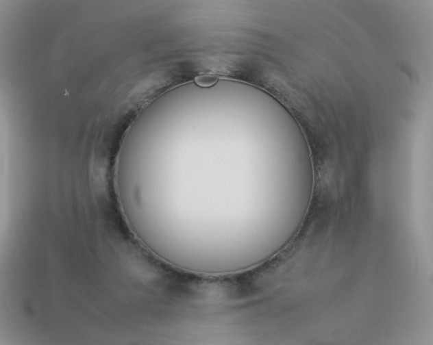 X0000114140209200910221532