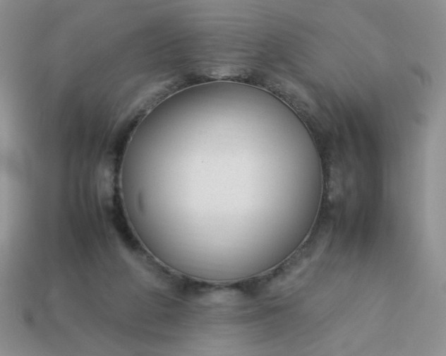 X0000114140210200910221532