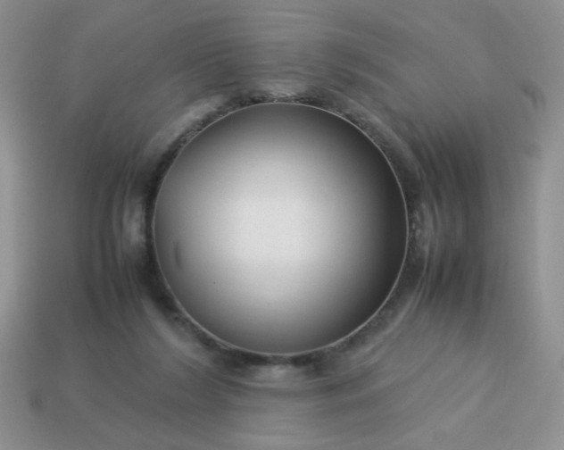 X0000114140212200910221532