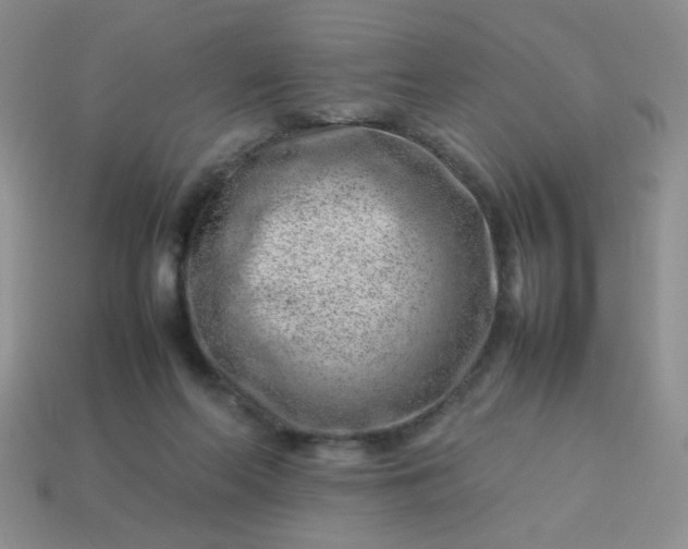 X0000114140214200910221532