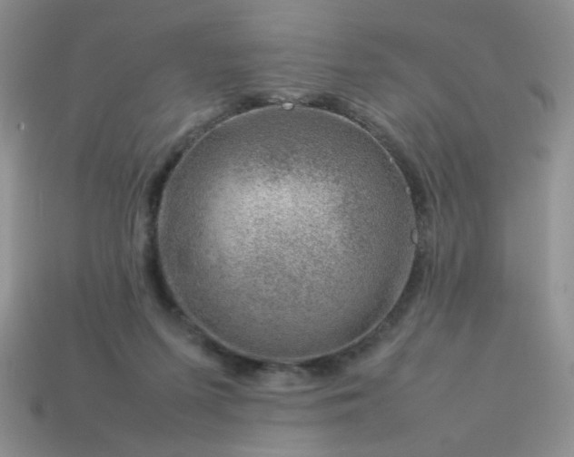 X0000114140215200910221532